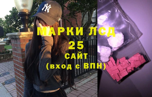 крисы Корсаков