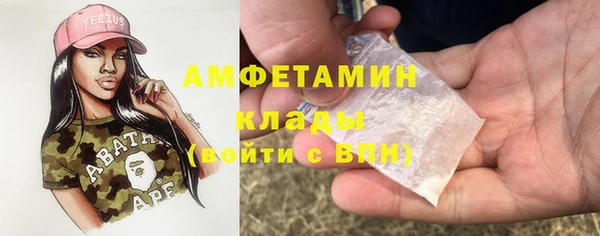 сатива Козельск