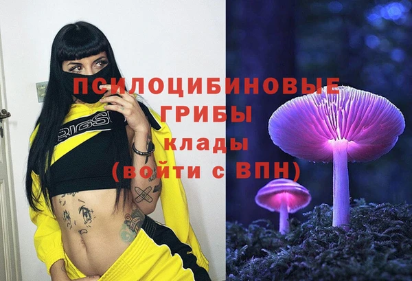 шишки Козловка