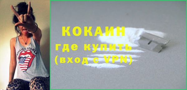 сатива Козельск