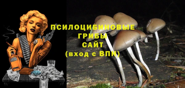 шишки Козловка