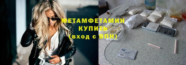 сатива Козельск